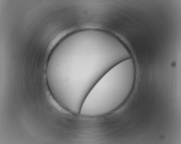 X0000113530941200909180957