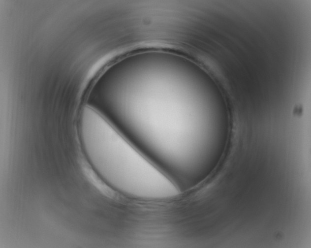 X0000113530942200909180957