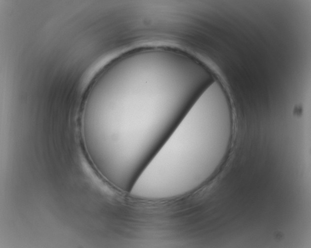 X0000113530943200909180957