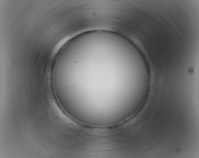 X0000113530944200909180957