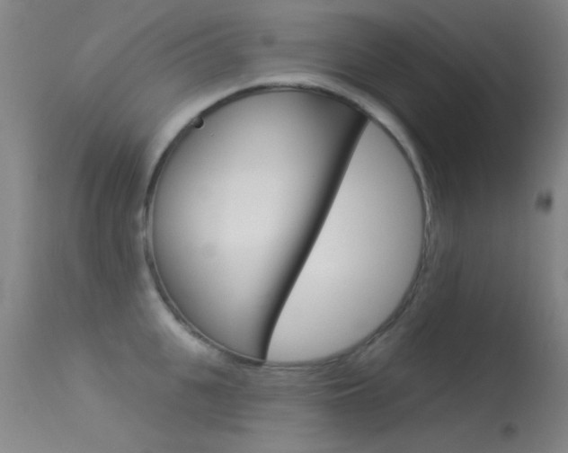 X0000113530951200909180957