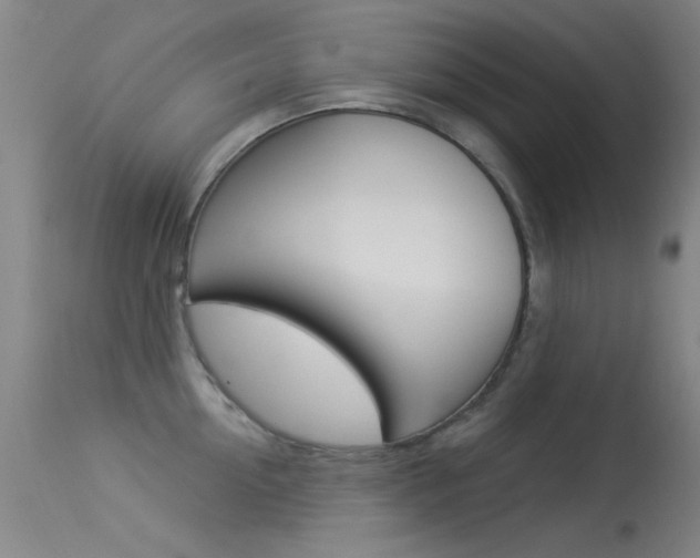 X0000113530954200909180957