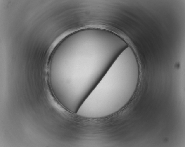 X0000113530955200909180957
