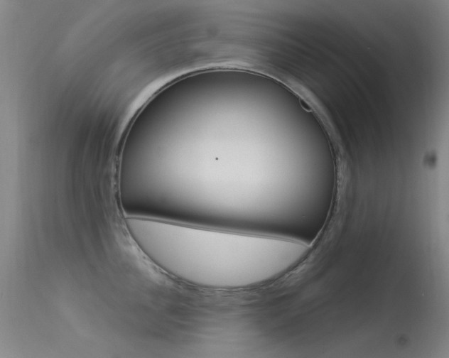 X0000113530956200909180957