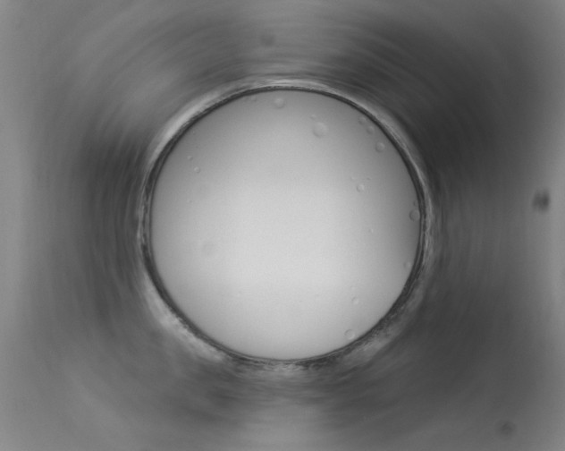 X0000113530957200909180957