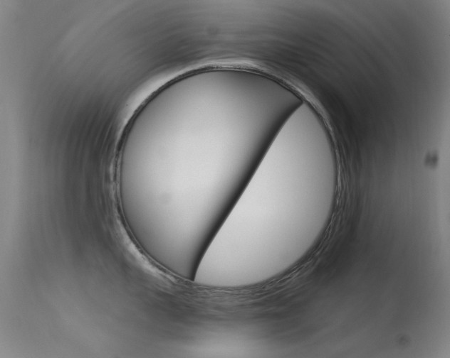 X0000113530959200909180957