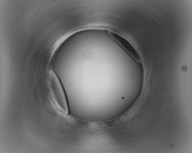 X0000113530960200909180957