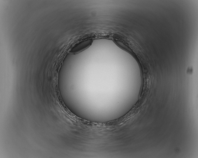 X0000113530961200909180956