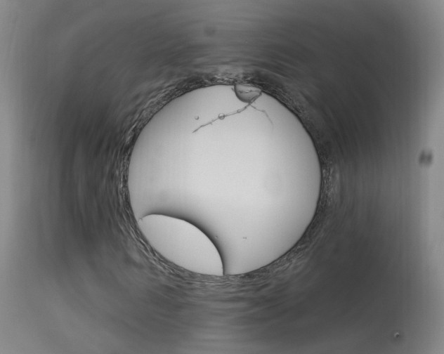 X0000113530962200909180956