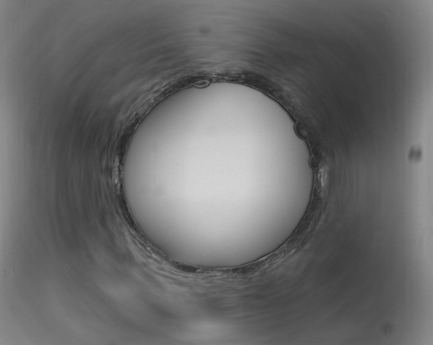 X0000113530963200909180956