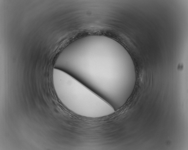 X0000113530964200909180956