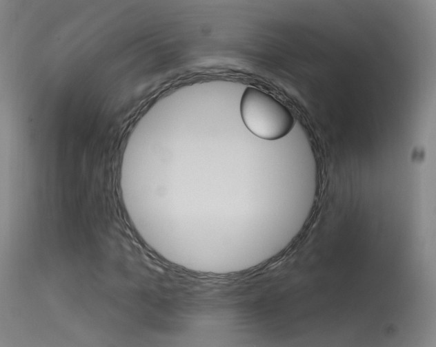 X0000113530965200909180956