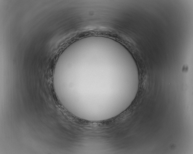 X0000113530966200909180956