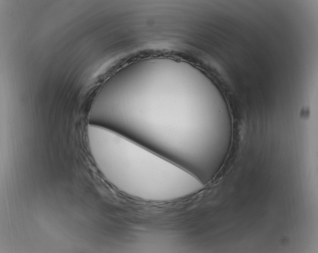 X0000113530968200909180956