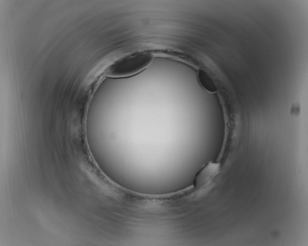 X0000113530969200909180956