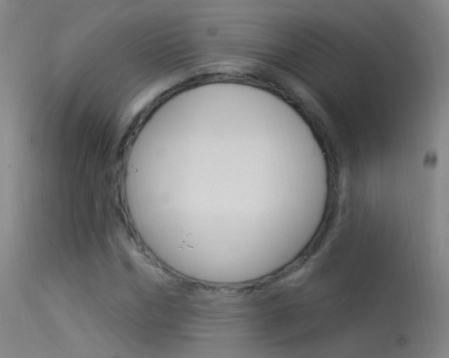 X0000113530970200909180956