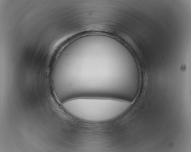 X0000113530971200909180956