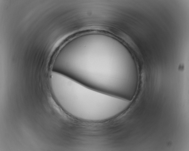 X0000113530972200909180956