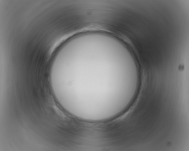X0000113530973200909180956