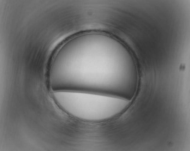 X0000113530975200909180956