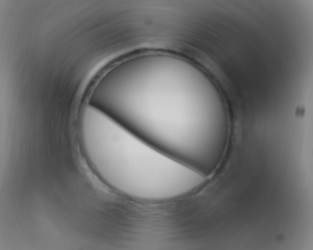 X0000113530976200909180956