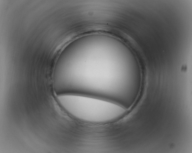 X0000113530977200909180956
