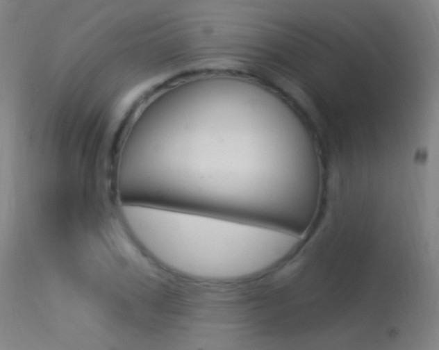 X0000113530979200909180956