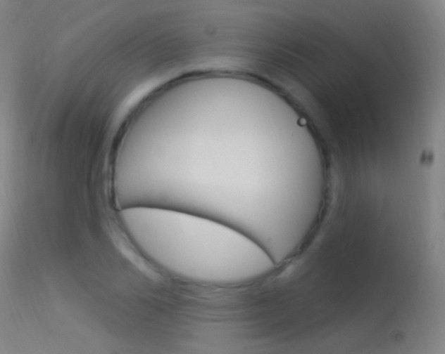 X0000113530982200909180956