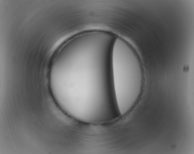 X0000113530983200909180956
