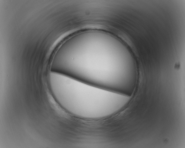 X0000113530984200909180956