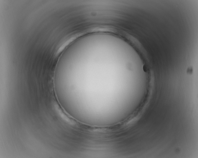 X0000113530985200909180956