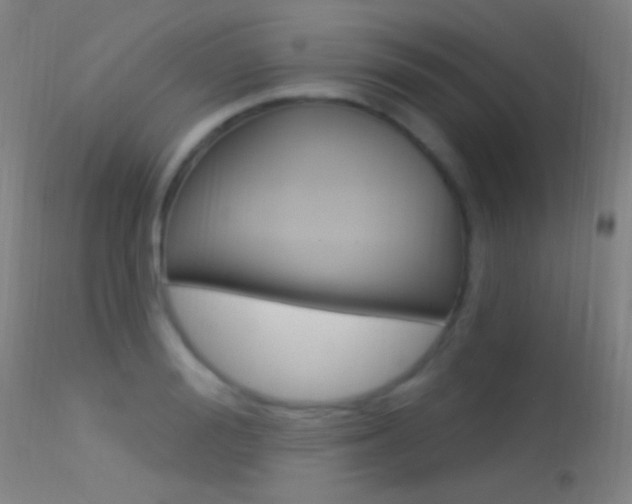 X0000113530988200909180956