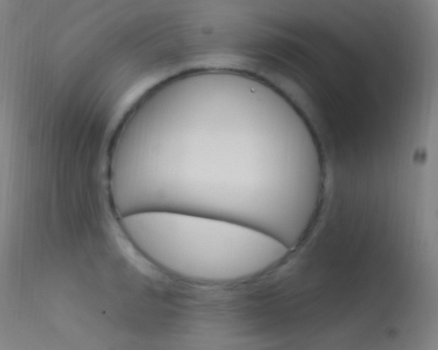 X0000113530990200909180956