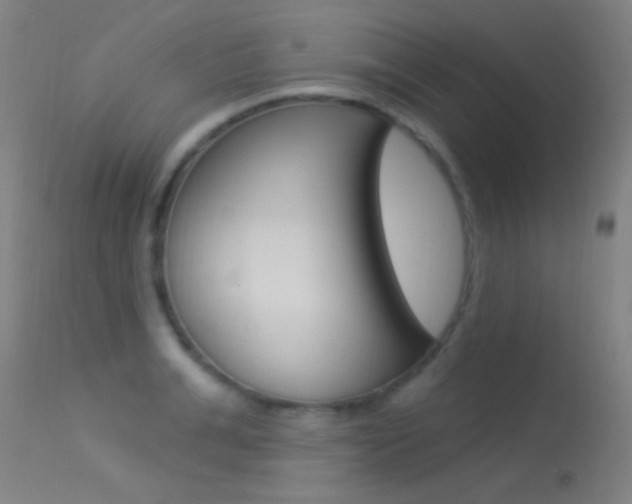 X0000113530991200909180956