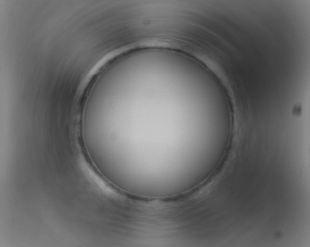 X0000113530992200909180956