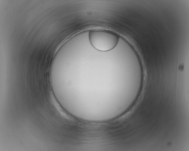 X0000113530993200909180956