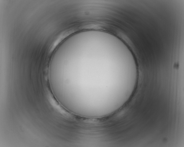 X0000113530994200909180956