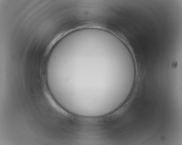 X0000113530997200909180956
