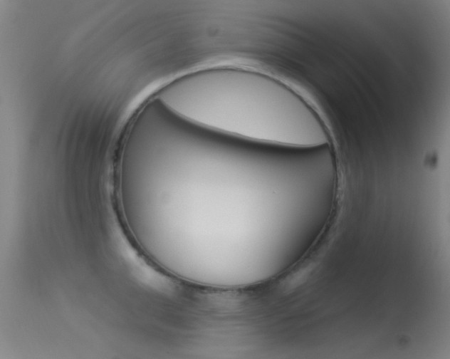 X0000113530999200909180956