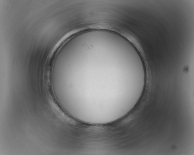 X0000113531000200909180956