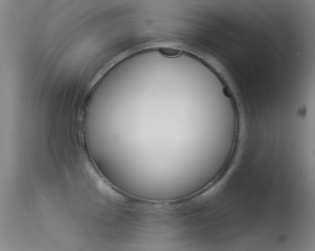 X0000113531001200909180956