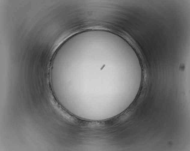 X0000113531002200909180956