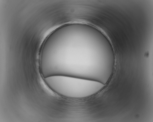 X0000113531003200909180955