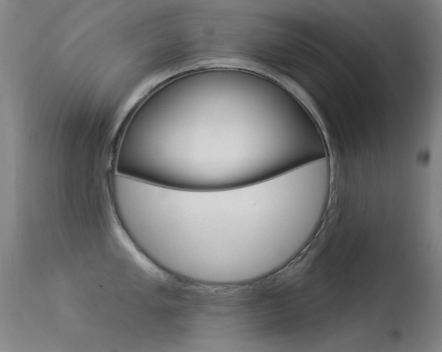 X0000113531005200909180955