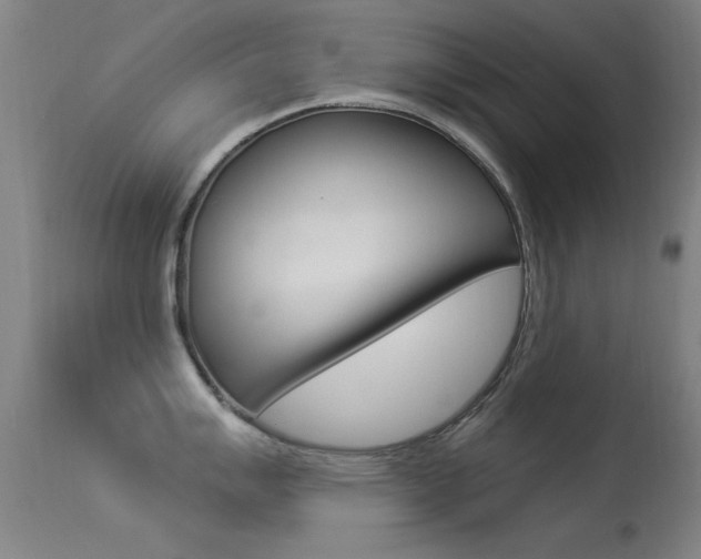 X0000113531007200909180955