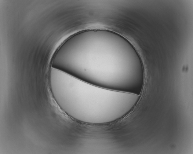 X0000113531008200909180955