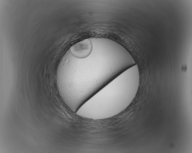 X0000113531009200909180955