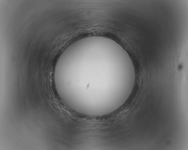 X0000113531010200909180955