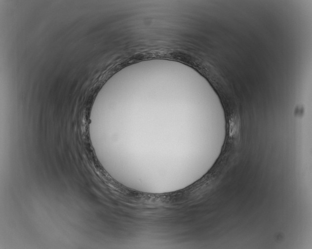 X0000113531011200909180955