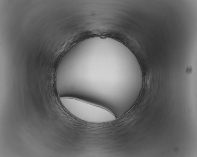 X0000113531012200909180955